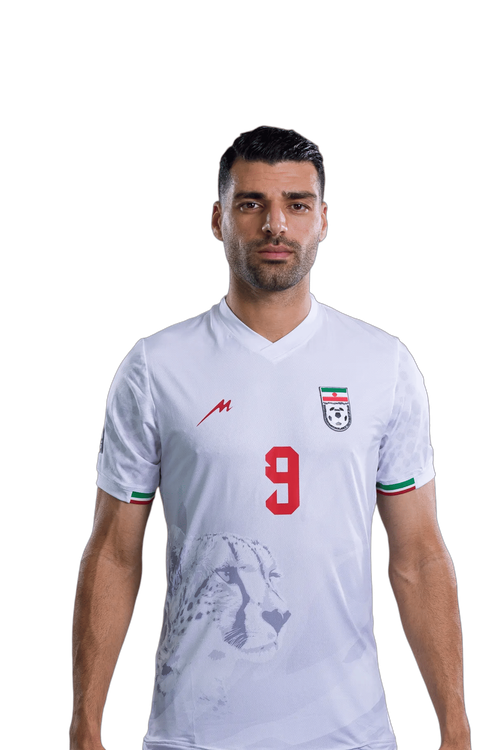 Mehdi TAREMI