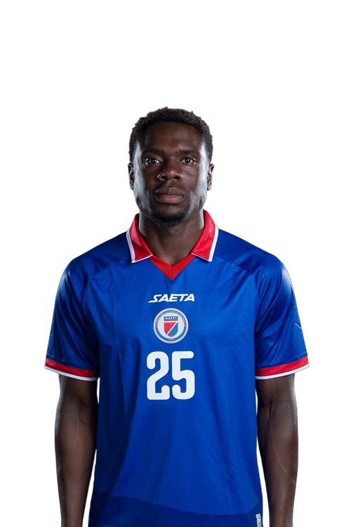 Dominique SIMON
